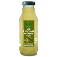 BIONATURO Sok z kiszonych ogórków BIO 300ml