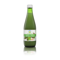 BIO FOOD Sok z ogórków kiszonych 300ml BIO
