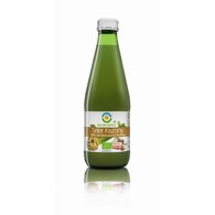 BIO FOOD Sok z selerów kiszonych 300ml BIO