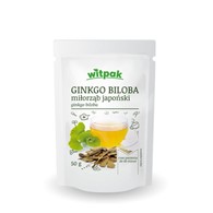 WITPAK Ginkgo biloba Miłorząb japoński 50g