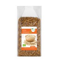 BIOLIFE Płatki owsiane BIO 300g