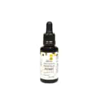 BARTNIK Propolis 10%  bezalkoh. 30ml