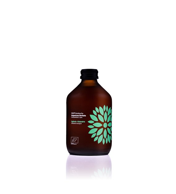 VIGO Kombucha BIO Ogórek + Kolendra 330ml