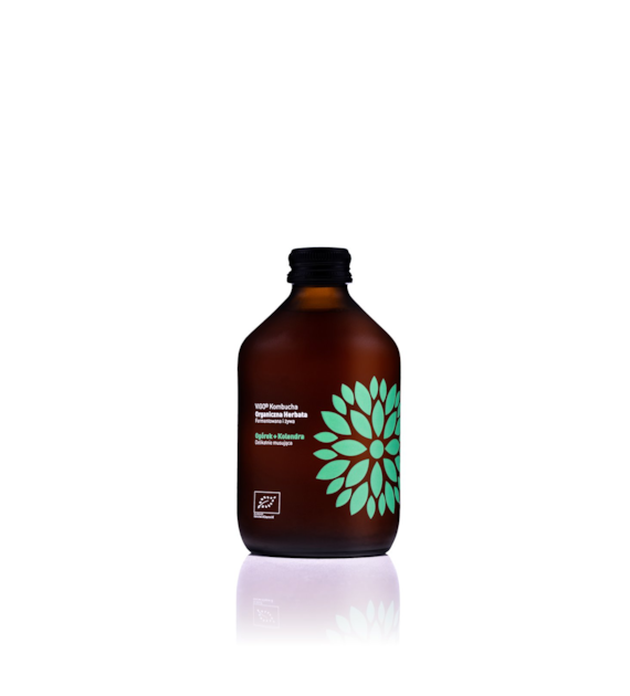 VIGO Kombucha BIO Ogórek + Kolendra 330ml