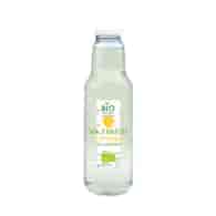 BIONATURO Sok z brzozy cytryna BIO 750ml