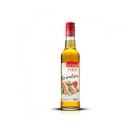 PREMIUM ROSA Nasze domowe Syrop z imbiru 400ml