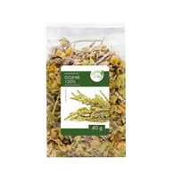 BIOLIFE Gojnik 40g