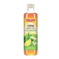 POLSKA RÓŻA Syrop cytryna z pędami sosny do saturatora 250 ml