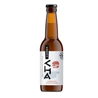 ALE BROWAR KombuCHA Świeża Malina 330ml