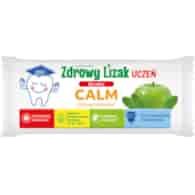 MNIAM-MNIAM Zdrowy Lizak Uczeń Calm na wyciszenie o smaku Jabłko - mięta b/c 6g